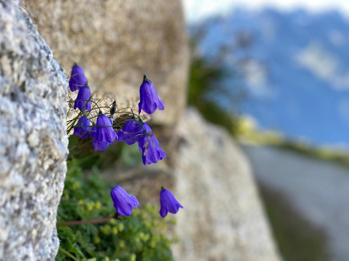 Rocky Studio Chamonix Sud Екстериор снимка